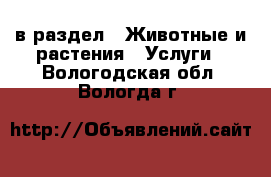  в раздел : Животные и растения » Услуги . Вологодская обл.,Вологда г.